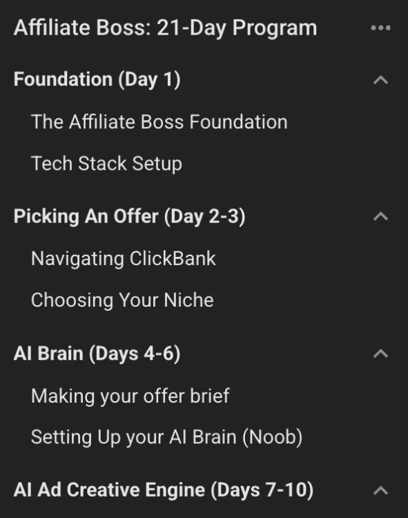 The 21-Day Program: Foundation, Picking An Offer, AI Brain, AI Ad Creative Engine
