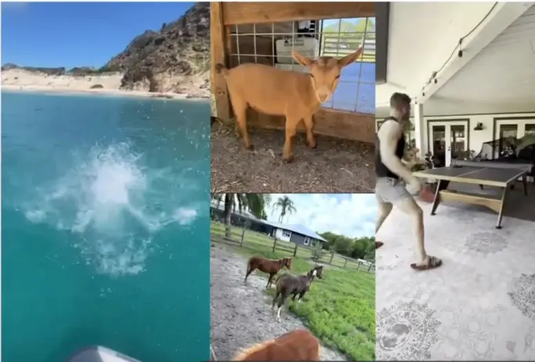 Jason's ranch, goats, horses, a jump off a boat and his ping pong table