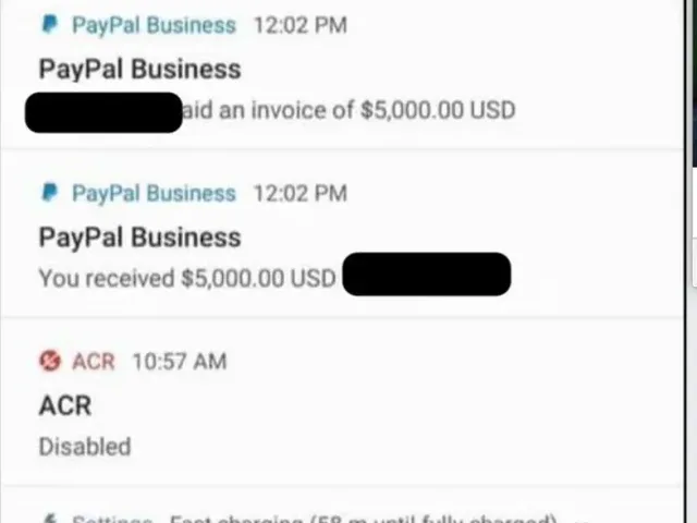 PayPal Business payment alerts