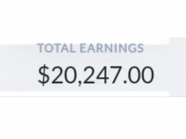 Total earnings screenshot