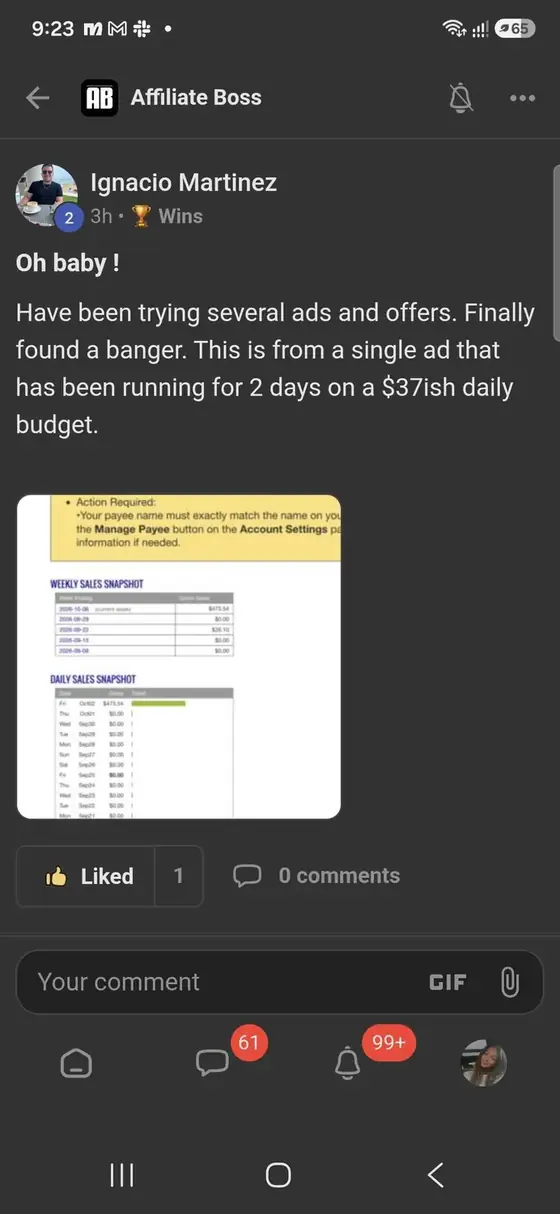 Affiliate Boss member post from Skool